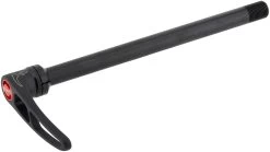 Dt-swiss RWS Plug-In X-12 MTB Steckachse Mit Schnellspannhebel