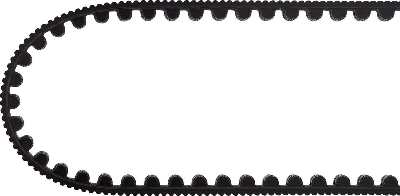 Gates CDX Riemen 10 Gates CDX Riemen – Bild 10